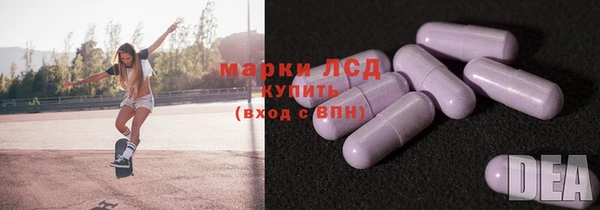 эйфоретик Баксан