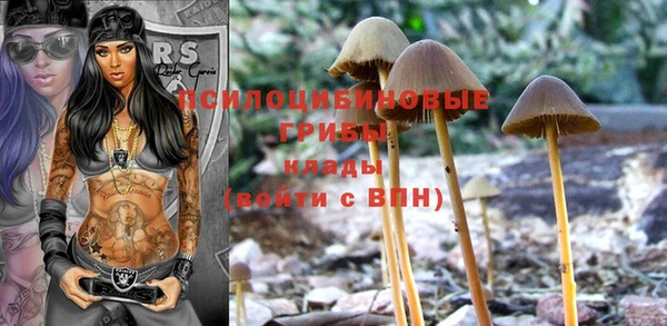 эйфоретик Балахна