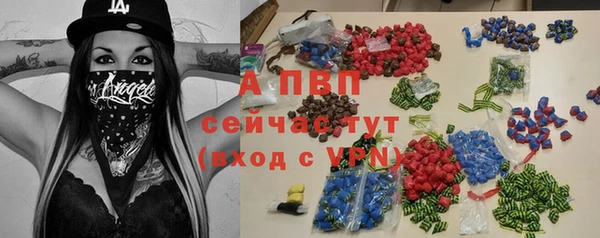эйфоретик Баксан