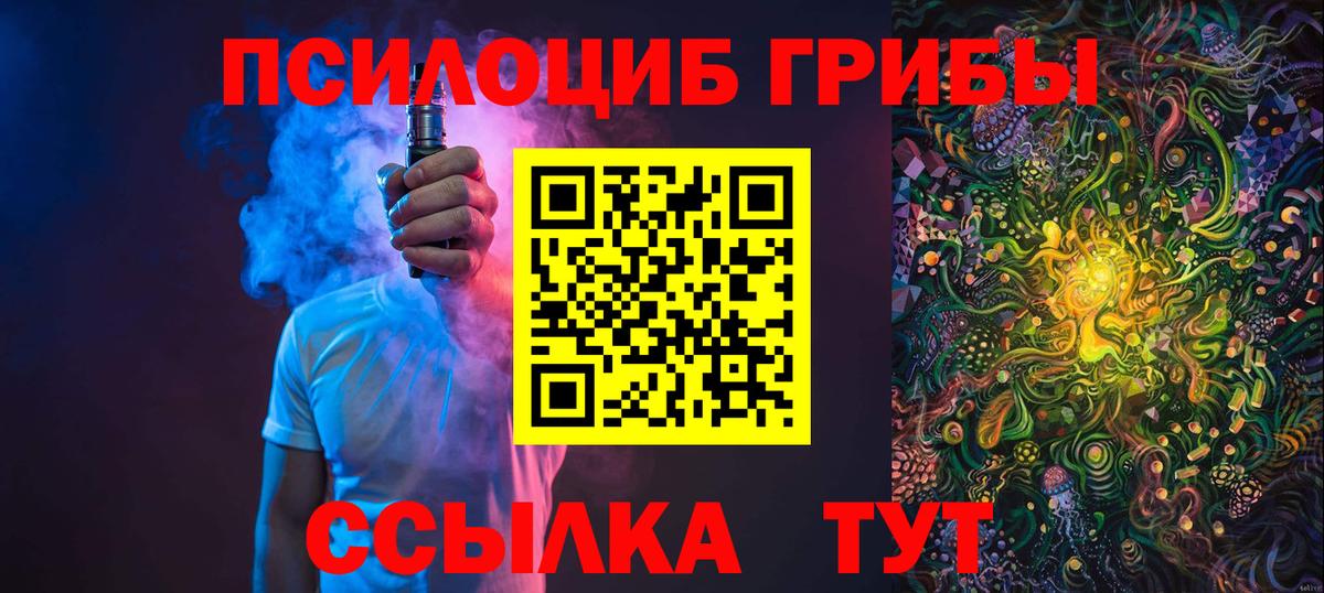 Псилоцибиновые грибы Cubensis Горно-Алтайск
