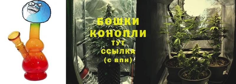 Марихуана White Widow  blacksprut маркетплейс  Горно-Алтайск 